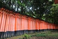 Side view of Senbon Torii Ã¢â¬ÅThousand ToriiÃ¢â¬Â gateways in Fushimi Inari Taisha Temple in Kyoto Japan Royalty Free Stock Photo